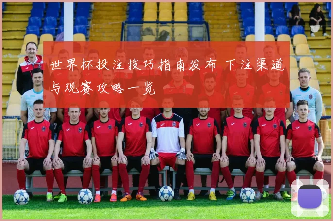 世界杯投注技巧指南发布 下注渠道与观赛攻略一览