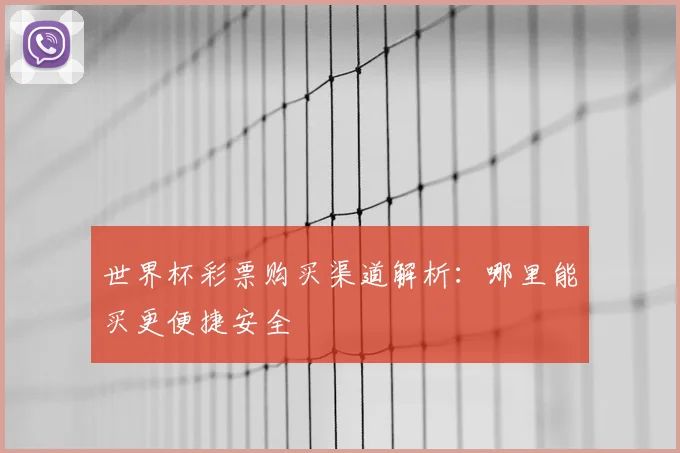 世界杯彩票购买渠道解析：哪里能买更便捷安全