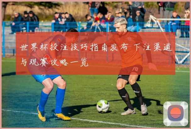 世界杯投注技巧指南发布 下注渠道与观赛攻略一览